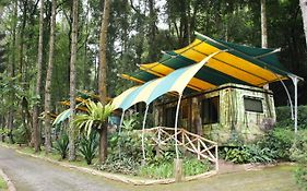 Taman Safari Lodge Puncak