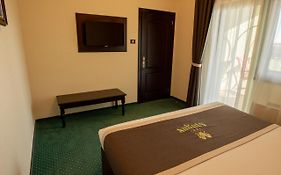 Hotel Magus Baia Mare 4*