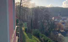 “Best View” Dachgeschosswohnung In Villa Sigismund