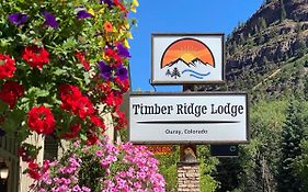 Timber Ridge Lodge Ouray Co 3*