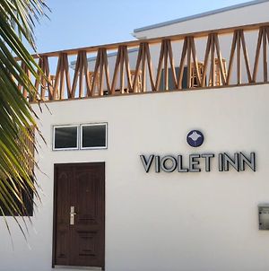 Violet Inn photos Exterior