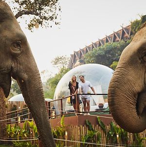 Anantara Golden Triangle Elephant Camp & Resort photos Exterior