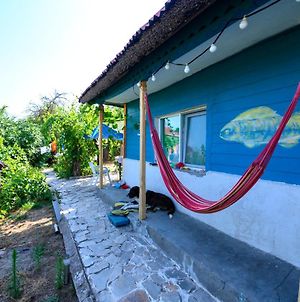Danube Delta Hostel Homestay & Camping photos Exterior