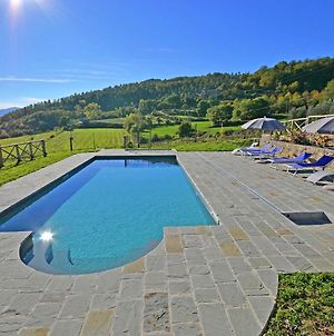 Villa With Private Pool Near Cortona In The Calm Countryside And Hilly Landscape photos Exterior