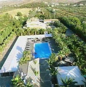 One Of The Biggest Villas In Europe 21 Bedrooms Near Athens photos Exterior
