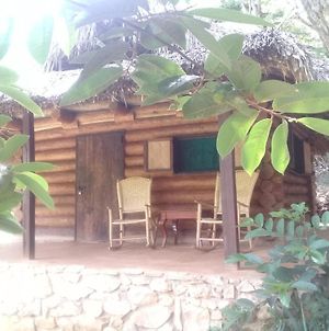 Room In Lodge - Sierraverde Huasteca Potosina Cabins Palo De Rosa photos Exterior
