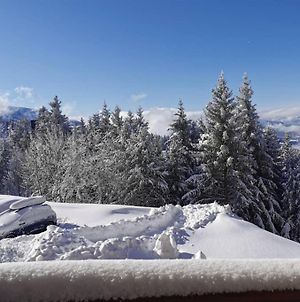 T2 Edelweiss Chamrousse 1750 Acces Piste Direct Local Ski Alpes Montagne photos Exterior