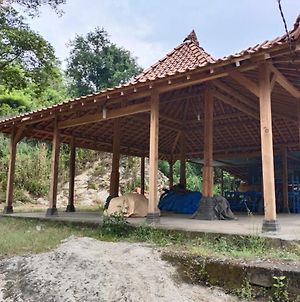 Watu Wayang Camp & Tracking photos Exterior