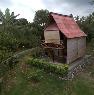 Natural Lodge At Jineng Bali photos Exterior