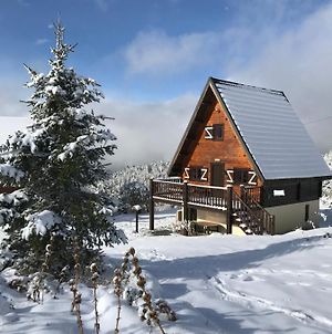 Chalet Les Dalmatiens Station De Ski De Camurac photos Exterior