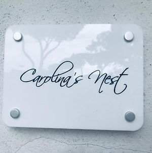 Carolina'S Nest photos Exterior