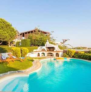 Dreamy Villa Amorgos In Sounio With Private Pool photos Exterior