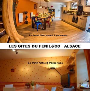 Les Gites Du Fenilco Alsace photos Exterior