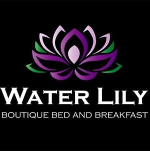 Water Lily Boutique B&B photos Exterior