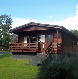Bluebell Lodge 5 With Hot Tub Newton Stewart photos Exterior