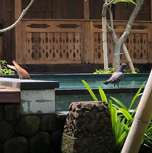 Melati Bali Homestay photos Exterior