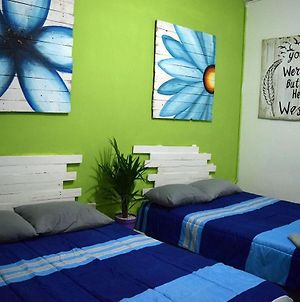 Room In Bb - Hostel In Playa Del Carmen photos Exterior