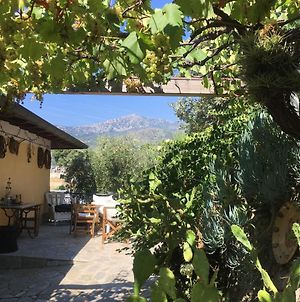 Spacious Holiday Home In Ventimiglia With Garden photos Exterior