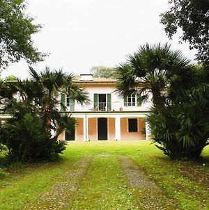 Historic Villa In Versilia photos Exterior
