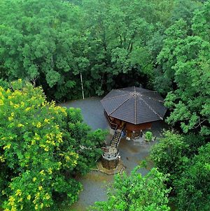 Hidden Treehouse In Khao Yai photos Exterior