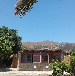 Antonis'S Palm House photos Exterior