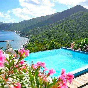 Tortola Adventure Private Villa With Oceanview Pool photos Exterior