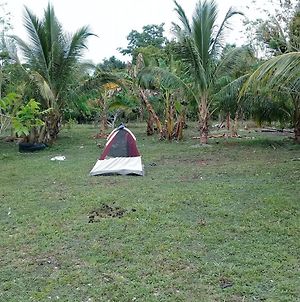 Mama Tina'S Vaca Plateau Camping Tents photos Exterior