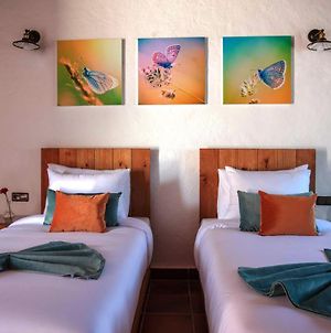 Room In Bungalow - Bungalow Double 4 - El Cortijo Chefchaeun Hotel Spa photos Exterior