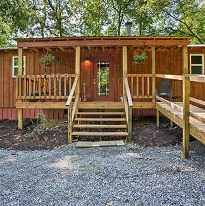 Secluded Cabin With 2 Fishing Ponds, Trails And More! photos Exterior