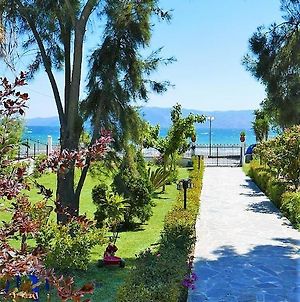 Amarynthos Beachfront Vacation House With Garden photos Exterior