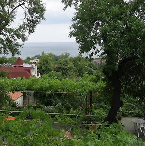 Villa Jana photos Exterior
