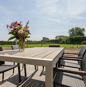 House In Vrouwenpolder With Private Terrace photos Exterior