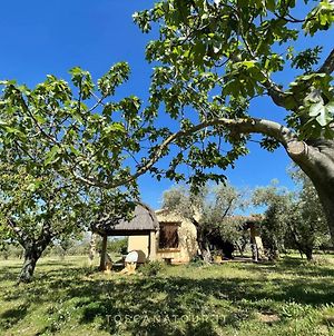 Toscana Tour - Cottage I Ciliegi With Aircon, Fenced Garden photos Exterior
