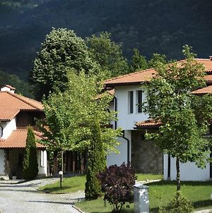 Къща За Гости Volpe - Volpe Guesthouse photos Exterior