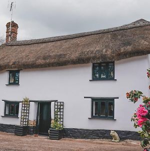 'The Cottage' photos Exterior