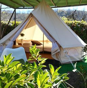 Camping Smeraldo photos Exterior