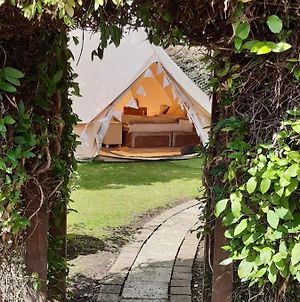 The White Dove Bed And Breakfast And Bell Tents 1 photos Exterior