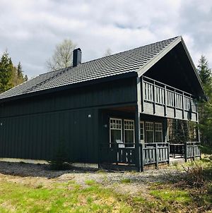 Hytte I Trysil Naer Osensjoen Med Sjoutsikt photos Exterior