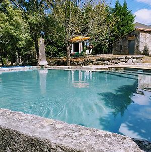 Liiiving In Caminha - Charming Garden Villa photos Exterior