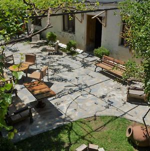 Guest House & Bar "Vine Garden" photos Exterior