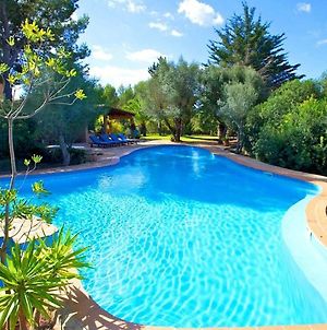 Sun Kissed Villa In S Espinagar With A Private Pool photos Exterior