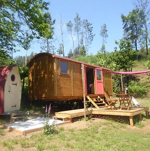 Rosa - Gypsy Caravan - Shepherds Hut, Off Grid Living & River Views photos Exterior