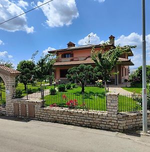Villa Ulivi photos Exterior