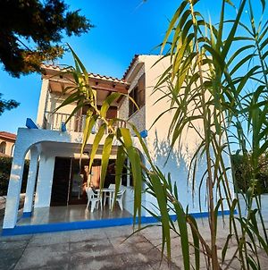 Apartamentos Blue Beach Menorca photos Exterior