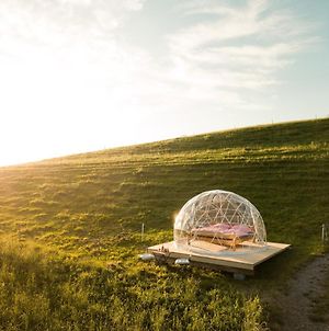 Bubble-Suite Mit Blick Auf Die Alpenkette photos Exterior