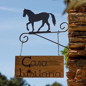 Cavalo De Xisto - Turismo Rural, Lda. photos Exterior