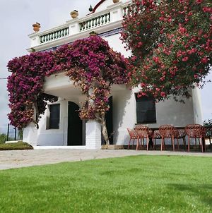 Villa Els Flamencs photos Exterior