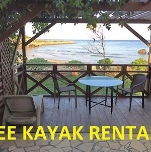 Ken'S Beachfront Cafe & Lodge, Bh2, Oceanfront With Free Kayak Rental photos Exterior