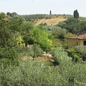 Enjoy The Tuscan Landscape In A Farmhouse With Pool And Wifi photos Exterior