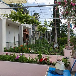 Charming Island Apartment Garden,70M From Sandy Beach And Restaurant, Free Wi-Fi photos Exterior